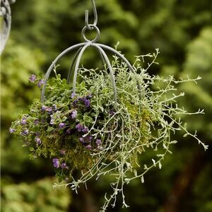 Zinc sphere hanging basket -small